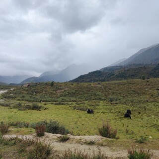 IMG_20250918_115507