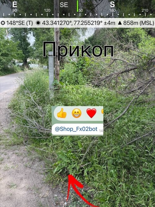 IMG_7384d13e01fb3f03416b.jpeg