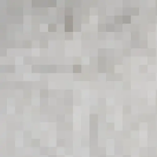 35SOrGS_d.webp