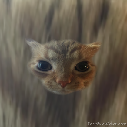 undefined---Imgur.png