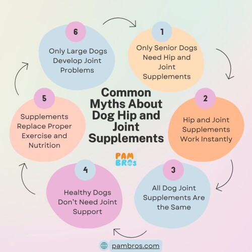 Common-Myths-About-Dog-Hip-and-Joint-Supplements.jpg