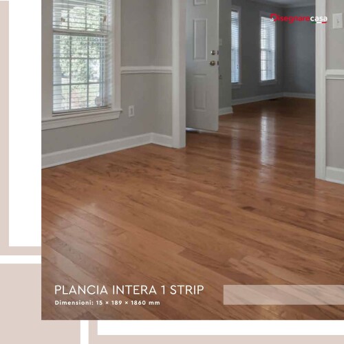 PLANCIA-INTERA-1-STRIP---Disegnarecasa.jpg