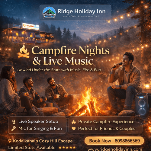 Campfire-Nights-and-Live-Music.png