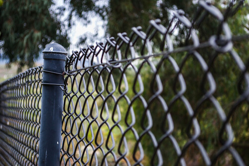 Chain-Link-Fence.jpeg