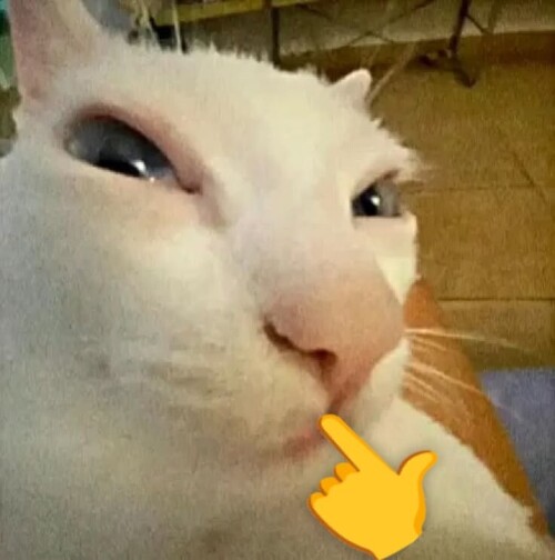 635d70d27d8b2df9241d770ac2e22dd6.jpeg