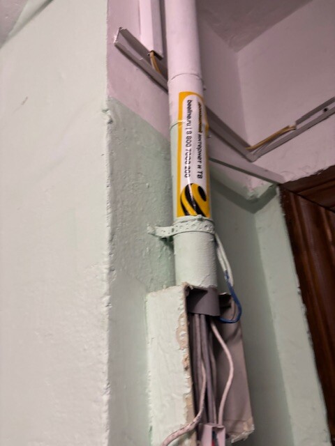 IMG_4716.jpeg