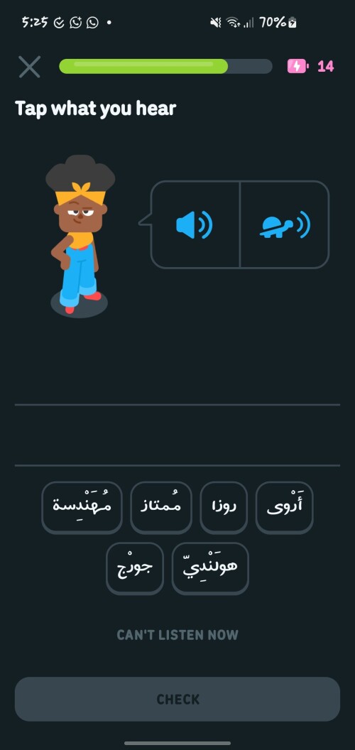 Screenshot_20260530-172531_Duolingo.jpg