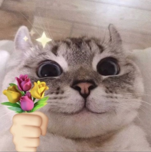 imagea7ea14ca66785852.png