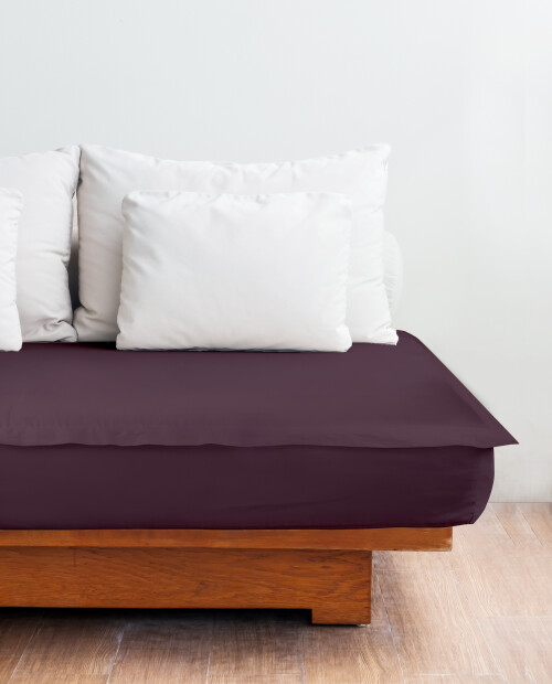 23-plum66a6eb62ff439732.jpg