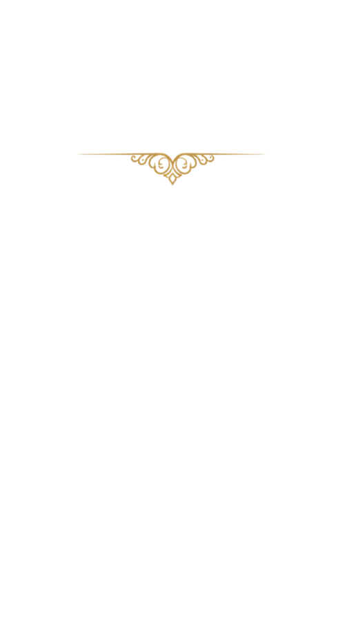 Profil-Mempelai-3.png