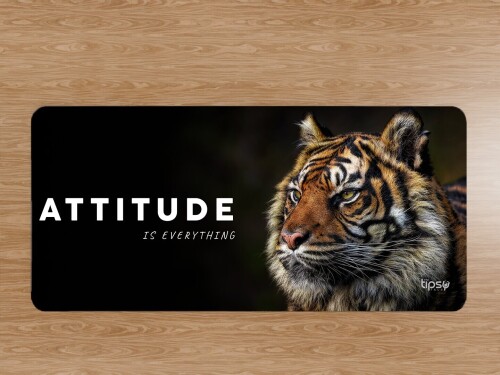 324.1-Tiger-Attitude..jpg