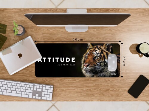 324.3-Tiger-Attitude..jpg