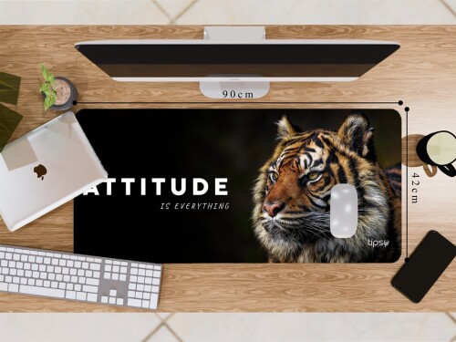 324.5-Tiger-Attitude..jpg