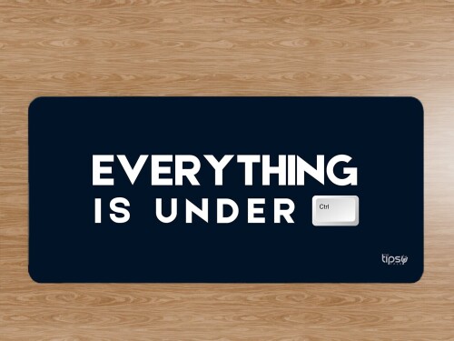 344.1-Everything-is-under-Ctrl.jpg