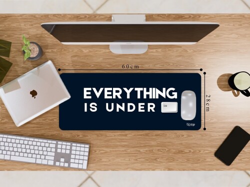 344.3-Everything-is-under-Ctrl.jpg