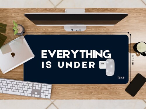 344.5-Everything-is-under-Ctrl.jpg