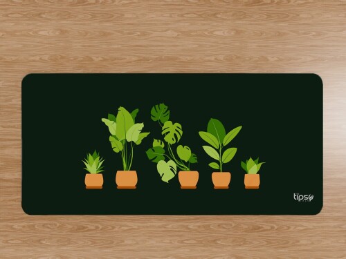 353.1-Garden-Lover--Plants.jpg