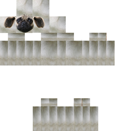 Skin-Pug-HD.png