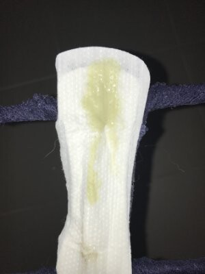 Staceys-used-panty-liner.jpg
