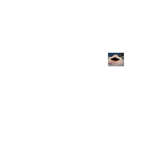 BEZ-NAZVANIY20_20260607132831.png