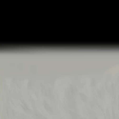 BEZ-NAZVANIY24_20260607152943.png