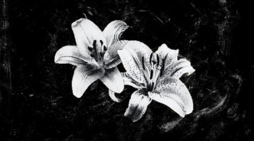 Capture-decran-2026-06-07-155012.png