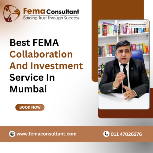 Best-FEMA-Collaboration-And-Investment-Service-In-Mumbai.png