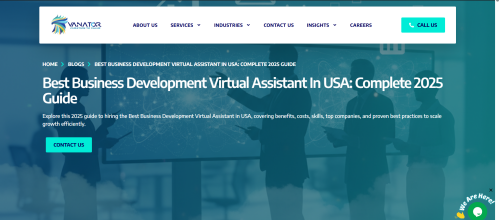 Best-Business-Development-Virtual-Assistant-in-USA.png