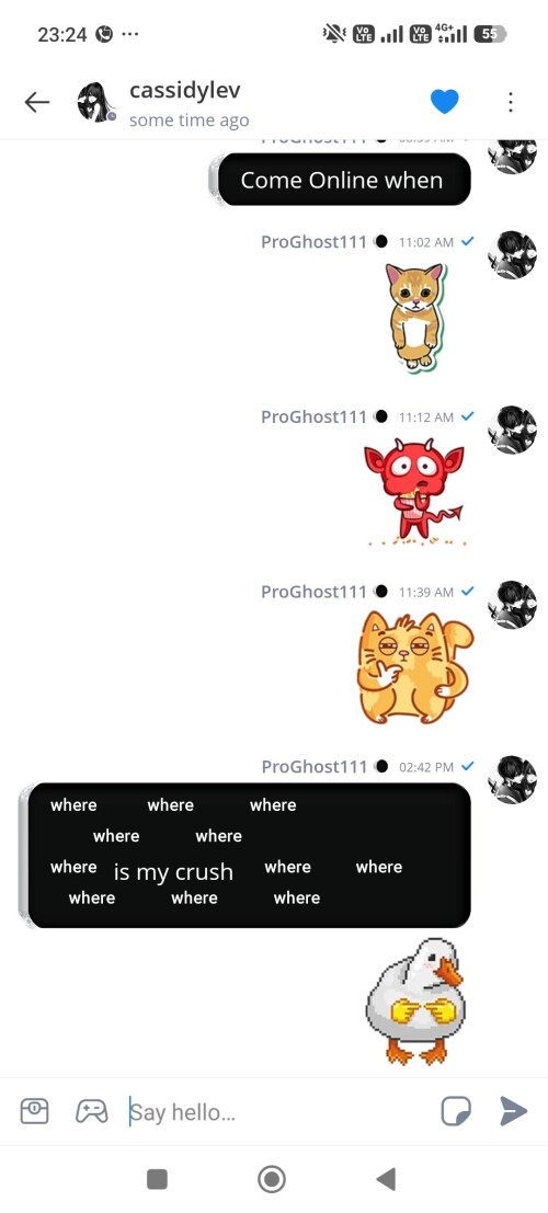 5090.jpg