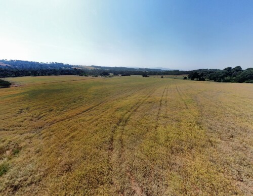 dji_fly_20260530_101802_6_1780129259014_pano_optimized.jpg