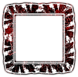 IMG_2911.png