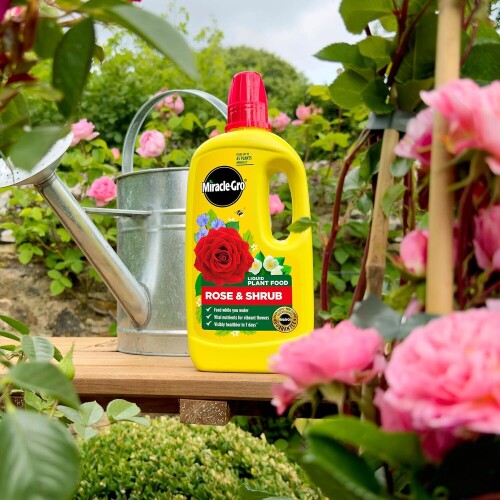 Miracle-Gro-Rose--Shrub-Concentrated-Liquid-Plant-Food-800ml-1.jpg