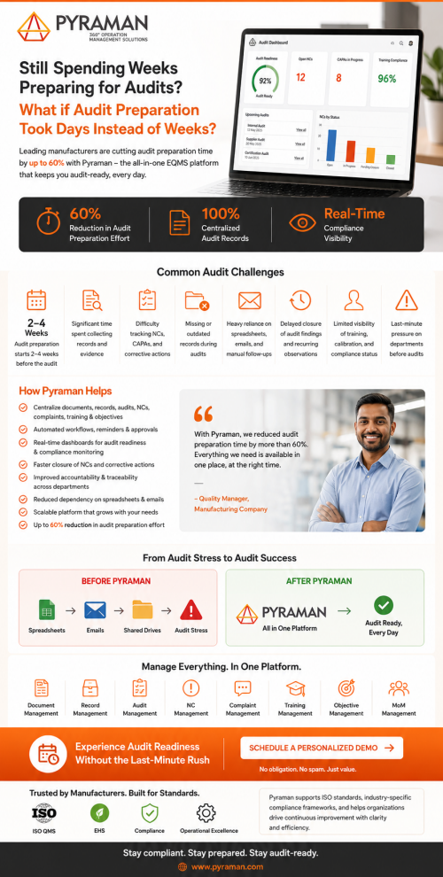 Pyraman-Audit-Management-Software.png