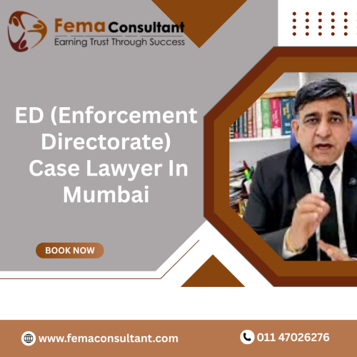 ED-Case-Lawyer-In-Mumbai.png