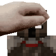 gif-je.gif