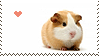 1000158115.gif