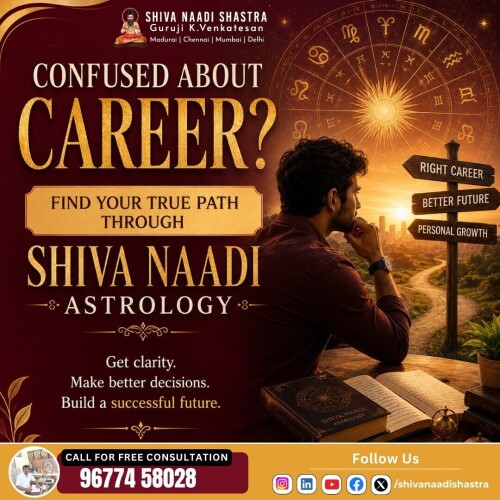 Best-Astrologers-in-India-for-Career.jpg