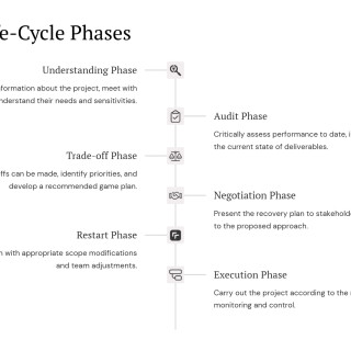 ERP-Project-Recovery-Turning-Around-a-Failing-Implementation_05