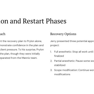 ERP-Project-Recovery-Turning-Around-a-Failing-Implementation_09