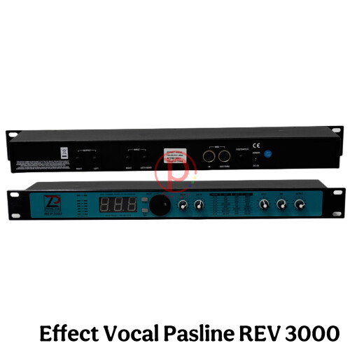 Effect-Vocal-Pasline-REV-3000-LOGO.jpeg