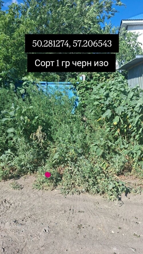 IMG_8655.jpeg