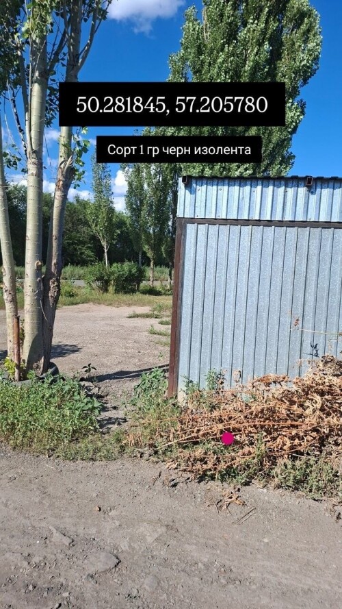 IMG_8656.jpeg