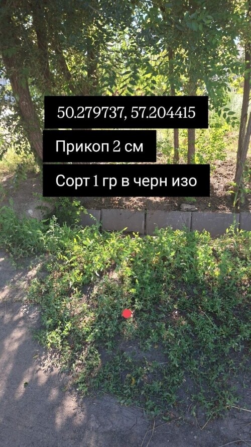 IMG_8657.jpeg