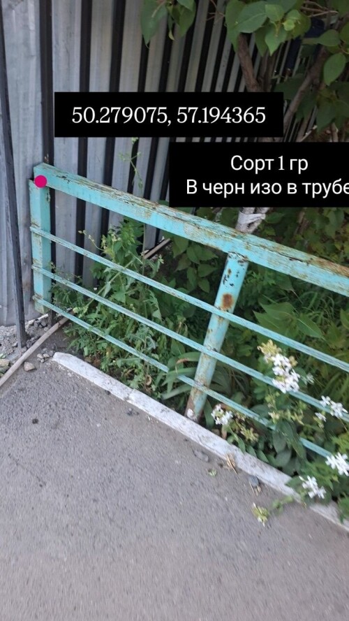 IMG_8669.jpeg