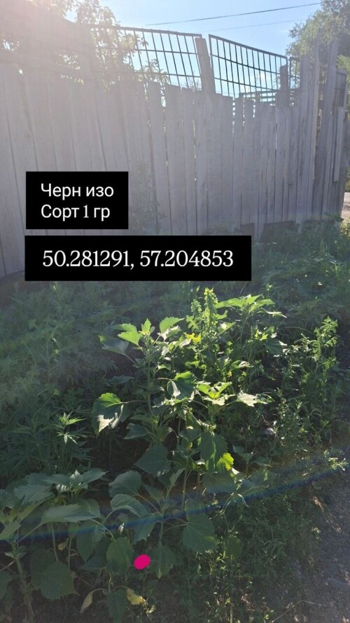 IMG_8670.jpeg