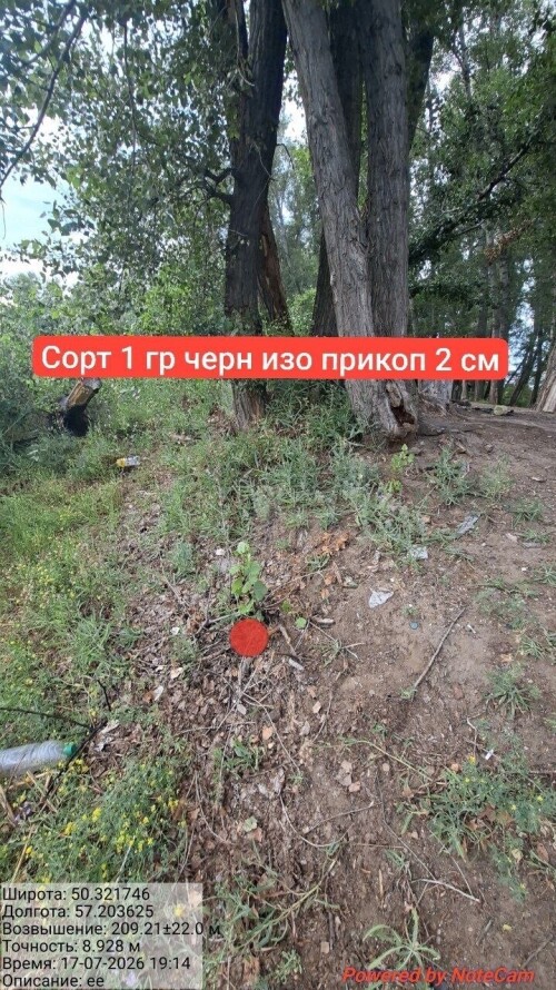 IMG_8676.jpeg