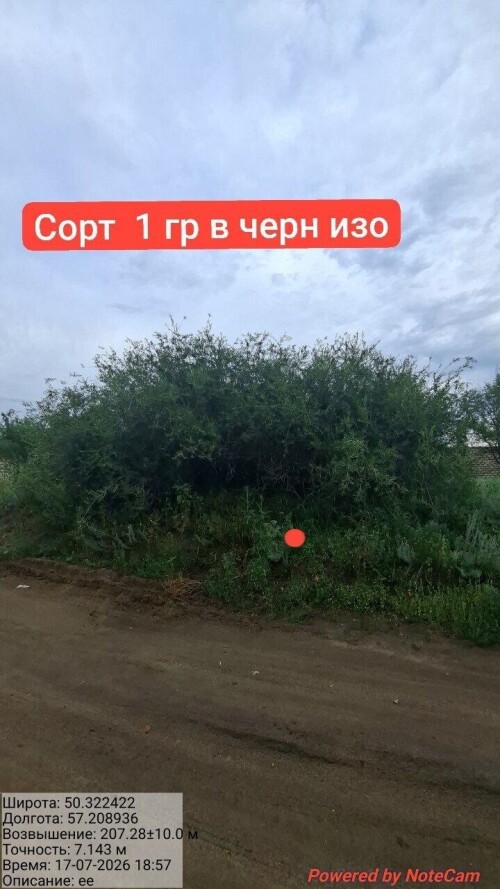 IMG_8685.jpeg