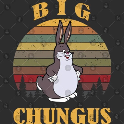 Big-Chungus.jpg