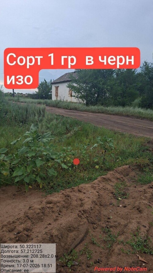 IMG_8722.jpeg