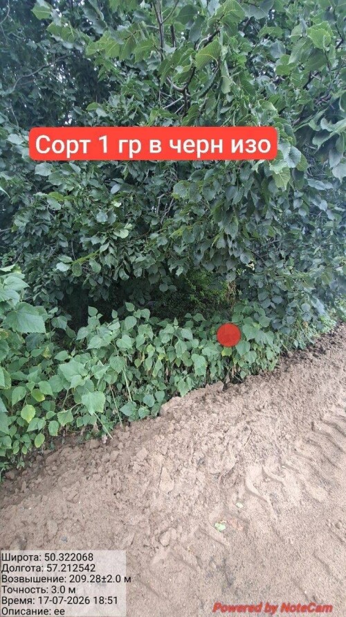 IMG_8723.jpeg
